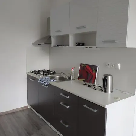 Komfortní Apartmán Nedaleko Centra Města * Teplice